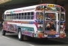 Bus de Panama..jpg