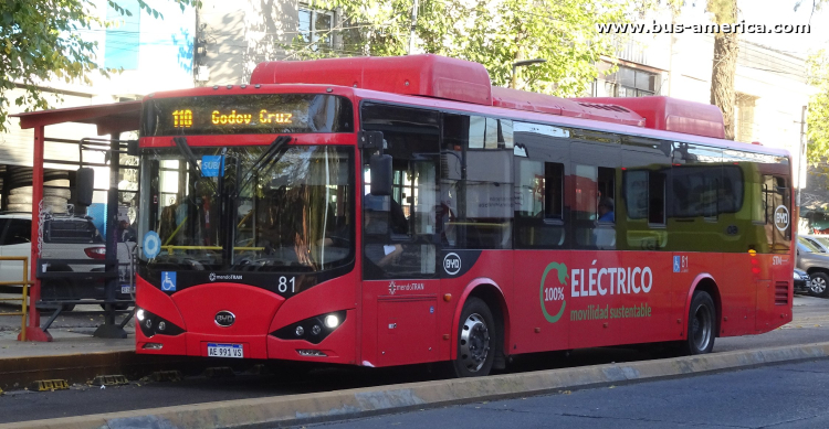 BYD K9 (en Argentina) - Mendotran , STM
AE 991 VS

Línea 110 (Mendotran, Prov.Mendoza), interno 81
