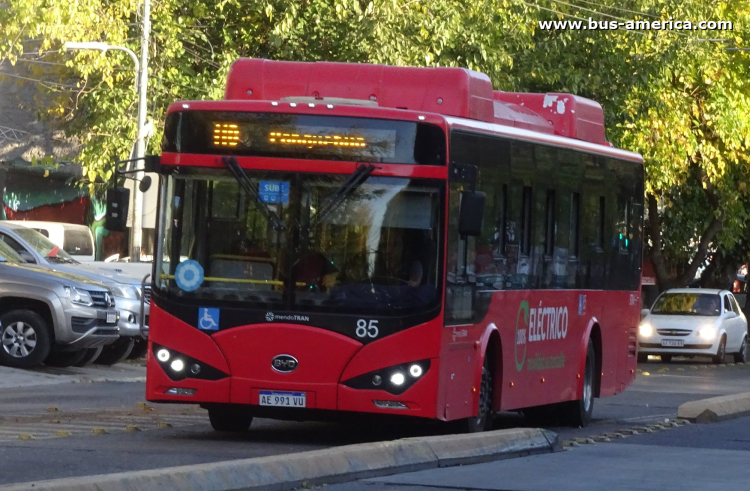 BYD K9 (en Argentina) - Mendotran , STM
AE 991 VU
[url=https://bus-america.com/galeria/displayimage.php?pid=66563]https://bus-america.com/galeria/displayimage.php?pid=66563[/url]

Línea 110 (Mendotran, Prov.Mendoza), interno 85
