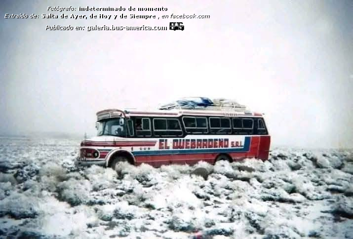Mercedes-Benz LO 1114 - Alcorta AL - El Quebradeño
A.053590
[url=https://bus-america.com/galeria/displayimage.php?pid=70394]https://bus-america.com/galeria/displayimage.php?pid=70394[/url]
[url=https://bus-america.com/galeria/displayimage.php?pid=70396]https://bus-america.com/galeria/displayimage.php?pid=70396[/url]
[url=https://bus-america.com/galeria/displayimage.php?pid=70397]https://bus-america.com/galeria/displayimage.php?pid=70397[/url]

El Quebradeñi (Prov.Salta), interno 1


Fotografo: indeterminado de momento
Fotografía: ¿familia Rueda?
Extraído de: [url=https://www.facebook.com/100064044493867/posts/empresa-el-quebrade%C3%B1o-srl-salta-argentinaera-una-empresa-de-transporte-interurba/1059234672888006/]Salta de Ayer, de Hoy, y de Siempre, en facebook.com[/url]
