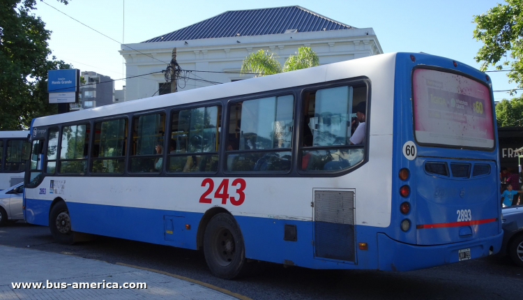 Agrale MT 15.0 LE - Todo Bus Pompeya - Exp. Lomas
JNV 199

Línea 243 (Prov. Buenos Aires), interno 2893

