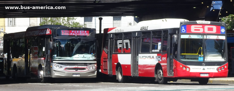 Agrale MT 17.0 LE - Todo Bus Pompeya III TB-24/16 - MONSA
AD 882 PK

Línea 60 (Buenos Aires), interno 6045
