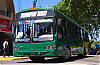 AgMT150LE-TBusPompeyaIITB-06-08_12a25-PampinBus01Ldh491f_1425-200226.JPG