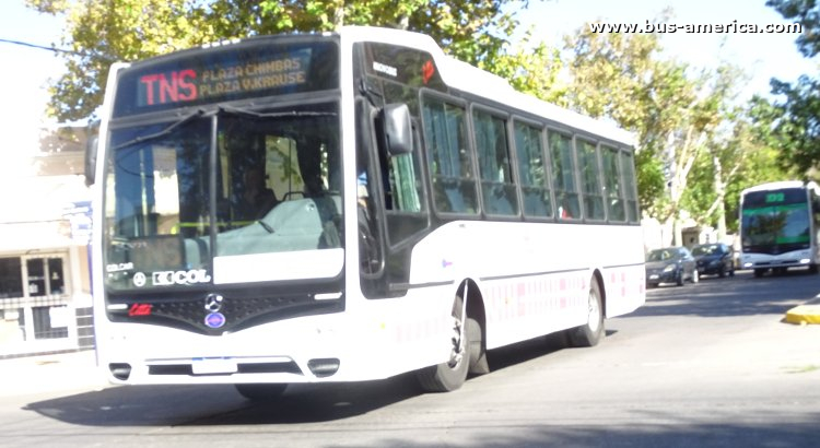 Mercedes-Benz OF 1621 - Nuovobus Cittá - Red Tulum , El Triunfo
AF 822 DV
[url=https://bus-america.com/galeria/displayimage.php?pid=61618]https://bus-america.com/galeria/displayimage.php?pid=61618[/url]

Línea TNS (Prov.San Juan), interno 105
