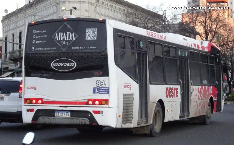 Mercedes-Benz O 500 U - Nuovobus Cittá PH0070 - Oeste , Nueve de Julio
AE 377 EA

Línea Oeste (504 - Pdo. La Plata), interno 81
