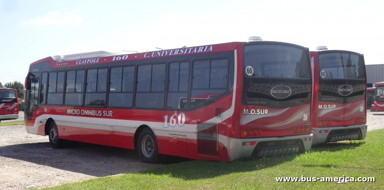 Mercedes-Benz O 500 U - Nuovobus Citta PH 0067 - M.O.Sur
[url=https://bus-america.com/galeria/displayimage.php?pid=51372]https://bus-america.com/galeria/displayimage.php?pid=51372[/url]

Línea 160 (Buenos Aires), interno 36 [izquierda]

Línea 160 (Buenos Aires), interno 119 [derecha]
