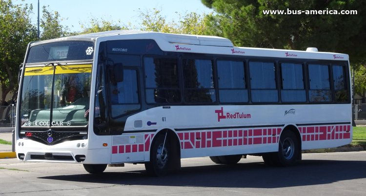 Mercedes-Benz OF 1621 - Nuovobus Cittá PH 71 - Red Tulum , Nuevo Sur
[url=https://bus-america.com/galeria/displayimage.php?pid=69088]https://bus-america.com/galeria/displayimage.php?pid=69088[/url]

Línea 262 (Prov.San Juan), interno 61
