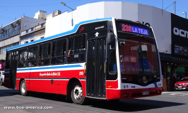 Mercedes-Benz OF 1621 - Nuovobus Cittá PH 71 - TUM
¿AE 503 VD?

Línea 238 (Prov. Buenos Aires), interno 283
