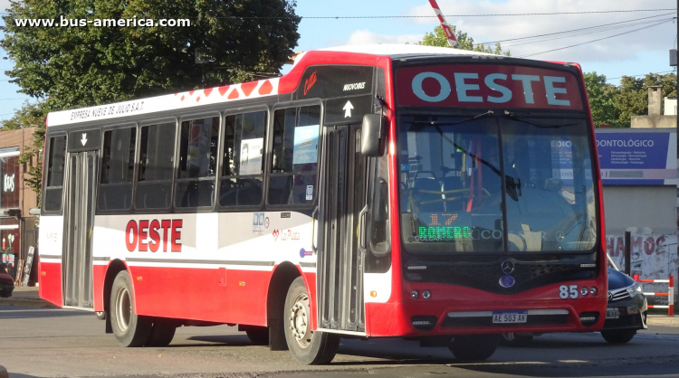 Mercedes-Benz OF 1621 - Nuovobus Cittá - Oeste , Nueve de Julio
AE 503 AK
[url=https://bus-america.com/galeria/displayimage.php?pid=56049]https://bus-america.com/galeria/displayimage.php?pid=56049[/url]

Línea Oeste 17 (504 - Pdo. La Plata), interno 85
