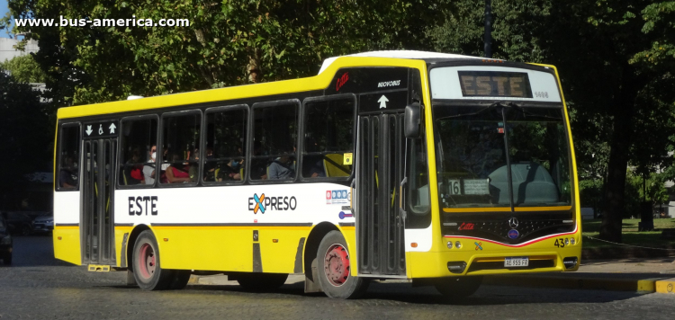 Mercedes-Benz OF 1621 - Nuovobus Cittá - Este , Expreso
AE 955 FR

Línea Este 16 (503, Partido de La Plata), interno 43 (1485)
