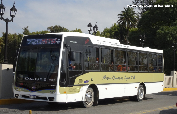 Mercedes-Benz OF 1621 - Nuovobus Cittá - MOTSA
AE 873 IB
[url=https://bus-america.com/galeria/displayimage.php?pid=56405]https://bus-america.com/galeria/displayimage.php?pid=56405[/url]

Línea 720 (Part. Tigre), interno 42
