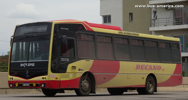 Mercedes-Benz OF 1621 - Nuovobus Cittá - Decano
AF 506 RO
[url=https://bus-america.com/galeria/displayimage.php?pid=67822]https://bus-america.com/galeria/displayimage.php?pid=67822[/url]
[url=https://bus-america.com/galeria/displayimage.php?pid=67823]https://bus-america.com/galeria/displayimage.php?pid=67823[/url]


Decano (Prov.Sgo.del Estero), interno 255

Frecuencia entre 60 y 30 minutos, entre las 5:00/6:00 y 23:30/24:00 de lunes a viernes
