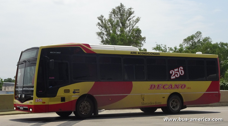 Mercedes-Benz OF 1621 - Nuovobus Cittá - Decano
AF 531 AI
[url=https://bus-america.com/galeria/displayimage.php?pid=67825]https://bus-america.com/galeria/displayimage.php?pid=67825[/url]

Decano (Prov.Sgo.del Estero), interno 256

Frecuencia entre 60 y 30 minutos, entre las 5:00/6:00 y 23:30/24:00 de lunes a viernes
