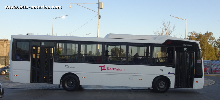 Mercedes-Benz OF 1621 - Nuovobus Cittá - Red Tulum , Alto de Sierra
[url=https://bus-america.com/galeria/displayimage.php?pid=61489]https://bus-america.com/galeria/displayimage.php?pid=61489[/url]

Línea D (Prov.San Juan), interno 39
