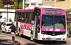 MBOF1621a-NuovobusCittaPH71_21-MiBus321mop2904ae856RFa_1338-110526.JPG