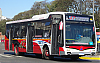 MBOH1621LSB-NuovobusCittaPH68_24-cf47i133ag822VYa_1547-270924_.JPG