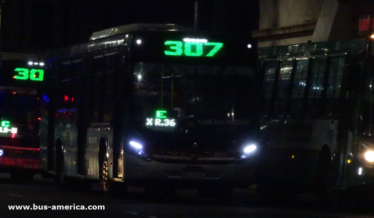 Agrale MT 17.0 LE - Marcopolo Torino T346 - Línea Siete
AF 099 VE
[url=https://bus-america.com/galeria/displayimage.php?pid=69707]https://bus-america.com/galeria/displayimage.php?pid=69707[/url]

Línea 307 (Prov.Buenos Aires), interno 319
