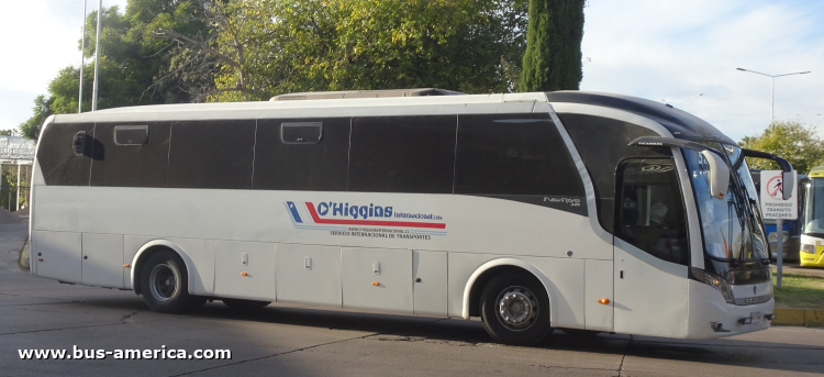 Scania K 250 IB - Neobus New Road N10 340 (para Chile) - O`Higgins
HR-KT-44
[url=https://bus-america.com/galeria/displayimage.php?pid=66921]https://bus-america.com/galeria/displayimage.php?pid=66921[/url]
[url=https://bus-america.com/galeria/displayimage.php?pid=66923]https://bus-america.com/galeria/displayimage.php?pid=66923[/url]

O'Higgins, unidad 44
Línea internacional entre Chile & Argentina
