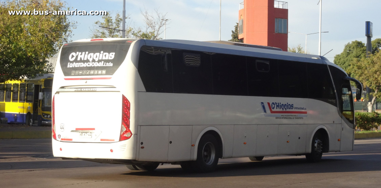 Scania K 250 IB - Neobus New Road N10 340 (para Chile) - O`Higgins
HR-KT-44
[url=https://bus-america.com/galeria/displayimage.php?pid=66921]https://bus-america.com/galeria/displayimage.php?pid=66921[/url]
[url=https://bus-america.com/galeria/displayimage.php?pid=66922]https://bus-america.com/galeria/displayimage.php?pid=66922[/url]

O'Higgins, unidad 44
Línea internacional entre Chile & Argentina
