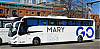 AgMT170SBbuggy-MetalsurStarbus360S303_18a45-MaryGoW58w463ad371WD_1515-270624.JPG