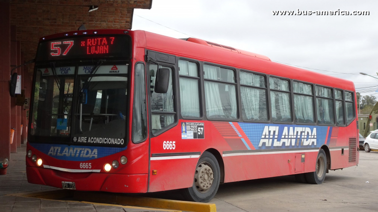 Agrale MT 17.0 LE - Metalpar Iguazú 2010 - Atlántida
OPV 715
[url=https://bus-america.com/galeria/displayimage.php?pid=52257]https://bus-america.com/galeria/displayimage.php?pid=52257[/url]

Línea 410 (Prov. Buenos Aires - cumplido con unidad de línea 57 de Buenos Aires), interno 6665
