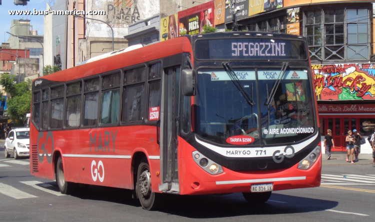 Agrale MT 17.0 LE - Metalpar Iguazú Nueva Generación PH 0091 - Mary Go , Trip Co
AC 316 IK
[url=https://bus-america.com/galeria/displayimage.php?pid=68208]https://bus-america.com/galeria/displayimage.php?pid=68208[/url]
[url=https://bus-america.com/galeria/displayimage.php?pid=68209]https://bus-america.com/galeria/displayimage.php?pid=68209[/url]

Línea 13393CH101 (Buenos Aires), interno 771
Ex línea 57 (Buenos Aires), interno 6625 [2018 - 2024]
