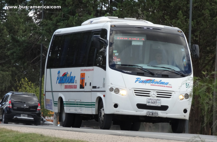 Mercedes-Benz LO 915 - Metalpar Maitén - Panaholma
PCN 488
[url=https://bus-america.com/galeria/displayimage.php?pid=41942]https://bus-america.com/galeria/displayimage.php?pid=41942[/url]

Panaholma (Prov. Córdoba), interno 50, patente provincial 3261
