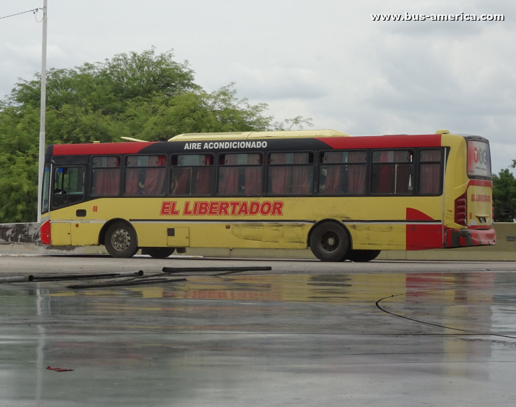 Mercedes-Benz OF 1722 - Metalpar Tronador 2010 - El Libertador
El Libertador (Prov.Sgo.del Estero), interno 08
