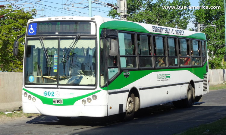 Mercedes-Benz OH 1618 L SB - Metalpar Iguazú 2010 - MOQSA
IYI 290

Línea 603 (Pdo. Berazategui), interno 602

