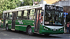 MBOH1718LSB-MetalparIguazu2010ph80_14a29-cf154i87nws706a_1657-111122.JPG