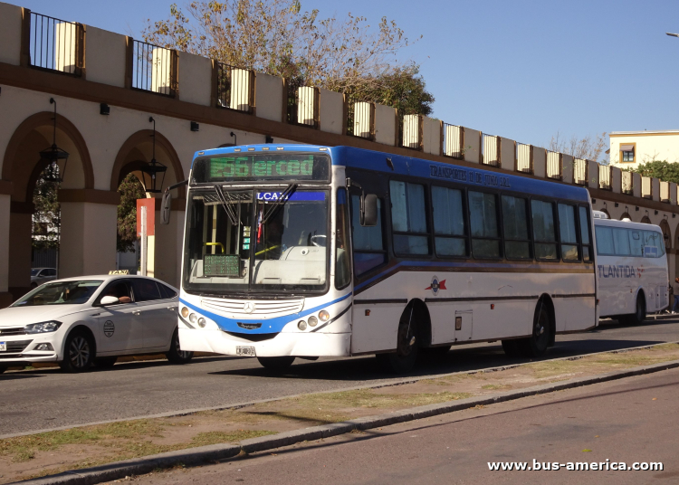 Mercedes-Benz OF 1418 - Metalpar Tronador 2010 - 11 de Junio
MJE 209
[url=https://bus-america.com/galeria/displayimage.php?pid=64786]https://bus-america.com/galeria/displayimage.php?pid=64786[/url]
[url=https://bus-america.com/galeria/displayimage.php?pid=70958]https://bus-america.com/galeria/displayimage.php?pid=70958[/url]
[url=https://bus-america.com/galeria/displayimage.php?pid=70960]https://bus-america.com/galeria/displayimage.php?pid=70960[/url]
[url=https://bus-america.com/galeria/displayimage.php?pid=70961]https://bus-america.com/galeria/displayimage.php?pid=70961[/url]
[url=https://bus-america.com/galeria/displayimage.php?pid=70962]https://bus-america.com/galeria/displayimage.php?pid=70962[/url]

Línea 256 (Prov.Buenos Aires), interno 38
Ex línea Norte (501, Pdo.La Plata)
