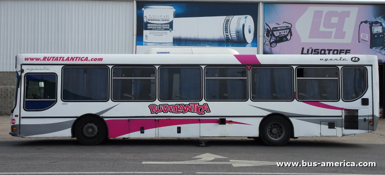 Mercedes-Benz O 500 U - Ugarte Europeo 2007  97 - Rutatlantica
OHV 986
[url=https://bus-america.com/galeria/displayimage.php?pid=68621]https://bus-america.com/galeria/displayimage.php?pid=68621[/url]

Rutatlantica, interno 1050
