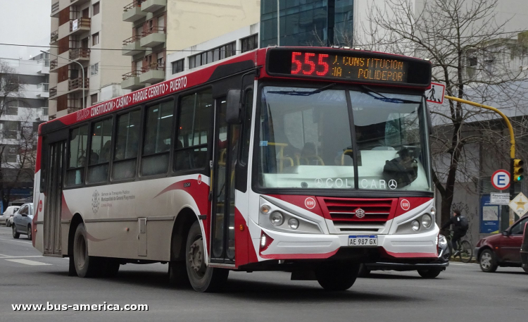 Mercedes-Benz OF 1621 - BiMet 2010 - Línea Roja , 25 de Mayo
AE 987 GX

Línea 555 (Mar del Plata), interno 030
