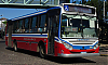 MBOF1621-BiMetCorbus_22-pba297i301ae395MA_1625-230124.JPG
