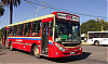 MBOF1621b-BiMetCorbusOF1621U_26-pba422r1i415ah954CIc_1249-150526.JPG
