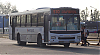IveCC170G21-ItalbusBello_25-pi510r4i3353ah649SIb_1713-300326.JPG