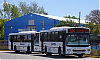IveCC170G21-ItalbusBello_25-pi510r5i3345ah545HCb_1335-090326.JPG