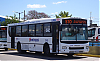 IveCC170G21-ItalbusBello_25-pi510r5i3345ah545HCc_1335-090326.JPG