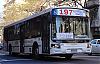 MBO500U1826-59-ItalbusTropeaItal88-20_25a29-cf197i810ah091WY_1603-250925.JPG