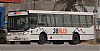 MBOF1418-ItalbusBello_12-bm1i3804mah444b_1006-210726.JPG