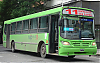 MBOF1722-ItalbusBello_13-sm11i26mzx875_1635-301123.JPG