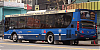 MBOH1621LSB-ItalbusTropeaITAL89-20_25-cf64i18ah699ZEc_1000-050726.JPG