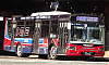 MBOH1621LSB-ItalbusTropeaItal92-21_21-cf102i2ae869MVc_1447-180526.JPG
