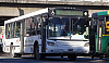 MBOH1718LSB-ItalbusTropeaITAL23-10_15a35-cf197rAexr19i178pfb103b_1702-250925.JPG