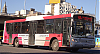 MBOH1721LSB-ItalbusTropeaItal84-16_17a25-cf148i385ab414EWb_1440-180526.JPG