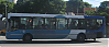 TATSAPumaD12-cdc51_1531-150410.JPG