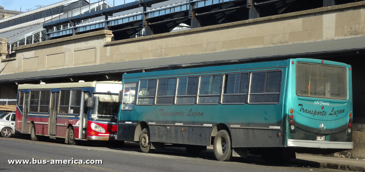 Mercedes-Benz OF 1418 - La Favorita - Transp. Luján
HCB 315 [1º]
[url=https://bus-america.com/galeria/displayimage.php?pid=57549]https://bus-america.com/galeria/displayimage.php?pid=57549[/url]

Línea "Trucho de Retiro" (Buenos Aires, no autorizado)
Ex grupo de líneas 5 (Mendoza)


HFJ 272 [2º]
[url=https://bus-america.com/galeria/displayimage.php?pid=55489]https://bus-america.com/galeria/displayimage.php?pid=55489[/url]

Línea "Trucho de Retiro" (Buenos Aires, no autorizado)
Ex línea 2 (Buenos Aires) 


[Datos de derecha a izquierda]
