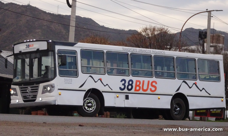 Mercedes-Benz OF 1418 - La Favorita Favorito GR - 38 Bus , Martínez
LDD 593
[url=https://bus-america.com/galeria/displayimage.php?pid=70741]https://bus-america.com/galeria/displayimage.php?pid=70741[/url]
[url=https://bus-america.com/galeria/displayimage.php?pid=70742]https://bus-america.com/galeria/displayimage.php?pid=70742[/url]
[url=https://bus-america.com/galeria/displayimage.php?pid=70743]https://bus-america.com/galeria/displayimage.php?pid=70743[/url]
[url=https://bus-america.com/galeria/displayimage.php?pid=70744]https://bus-america.com/galeria/displayimage.php?pid=70744[/url]
[url=https://bus-america.com/galeria/displayimage.php?pid=70745]https://bus-america.com/galeria/displayimage.php?pid=70745[/url]

Línea 1 (Bialet Massé), interno 3803
