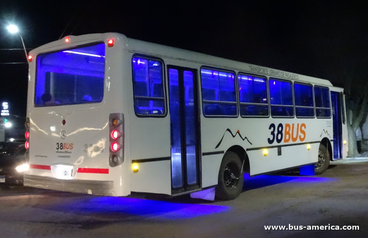 Mercedes-Benz OF 1418 - La Favorita Favorito GR - 38 Bus , Martínez
LDD 593
[url=https://bus-america.com/galeria/displayimage.php?pid=70740]https://bus-america.com/galeria/displayimage.php?pid=70740[/url]
[url=https://bus-america.com/galeria/displayimage.php?pid=70741]https://bus-america.com/galeria/displayimage.php?pid=70741[/url]
[url=https://bus-america.com/galeria/displayimage.php?pid=70742]https://bus-america.com/galeria/displayimage.php?pid=70742[/url]
[url=https://bus-america.com/galeria/displayimage.php?pid=70743]https://bus-america.com/galeria/displayimage.php?pid=70743[/url]
[url=https://bus-america.com/galeria/displayimage.php?pid=70745]https://bus-america.com/galeria/displayimage.php?pid=70745[/url]

Línea 1 (Bialet Massé), interno 3803
