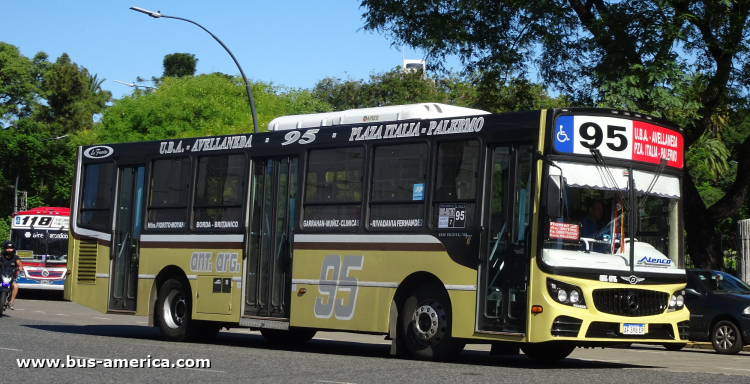 Mercedes-Benz OH 1621 L SB - La Favorita Favorito GR 95/2016 - Ant.Arg
AF 398 EP
[url=https://bus-america.com/galeria/displayimage.php?pid=68177]https://bus-america.com/galeria/displayimage.php?pid=68177[/url]

Línea 95 (Buenos Aires), interno 7
